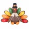 5ft Inflatable Turkey LED Lighted Airblown Thanksgiving Outdoor Yard Decoration